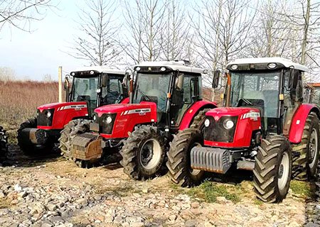 Massey Ferguson 1204